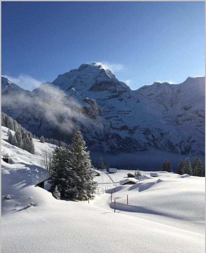 Sonnenberg Dormitories Mürren Dış mekan fotoğraf