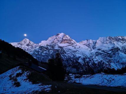Sonnenberg Dormitories Mürren Dış mekan fotoğraf
