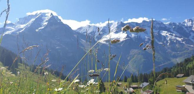 Sonnenberg Dormitories Mürren Dış mekan fotoğraf